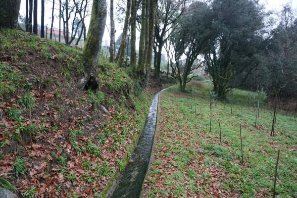 Foto 2 da atividade Galeria de Fotos