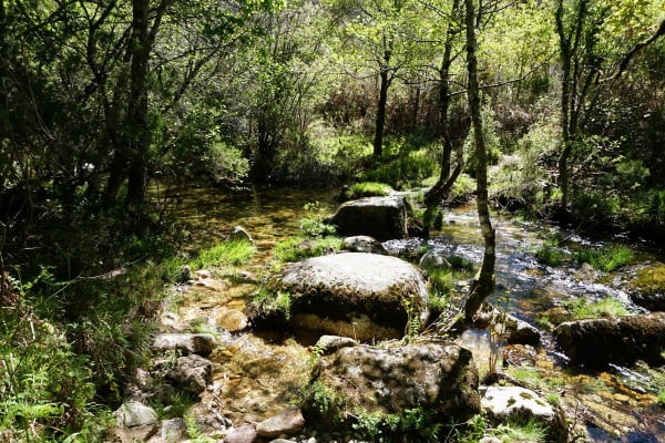 Foto 81 da atividade Galeria de Fotos