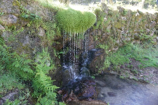 Foto 78 da atividade Galeria de Fotos