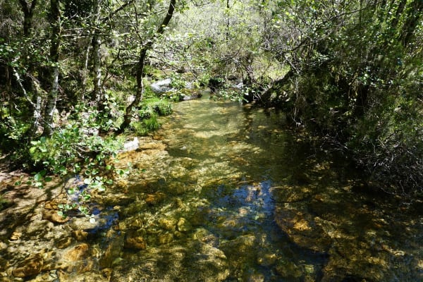 Foto 80 da atividade Galeria de Fotos