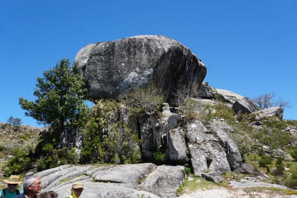 Foto 69 da atividade Galeria de Fotos