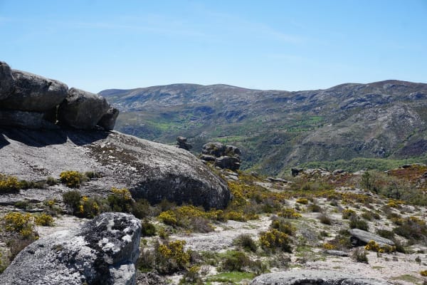 Foto 51 da atividade Galeria de Fotos