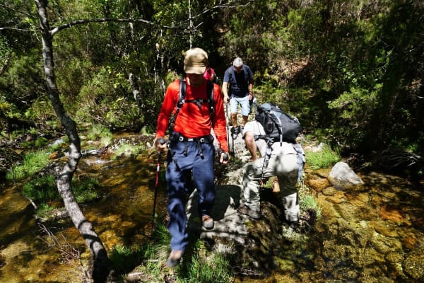 Foto 48 da atividade Galeria de Fotos