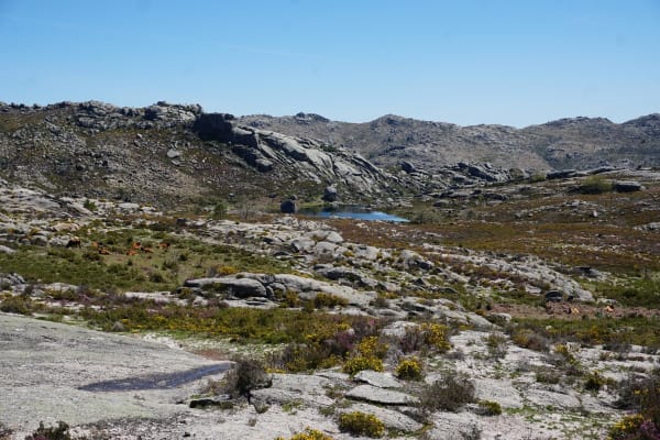 Foto 49 da atividade Galeria de Fotos