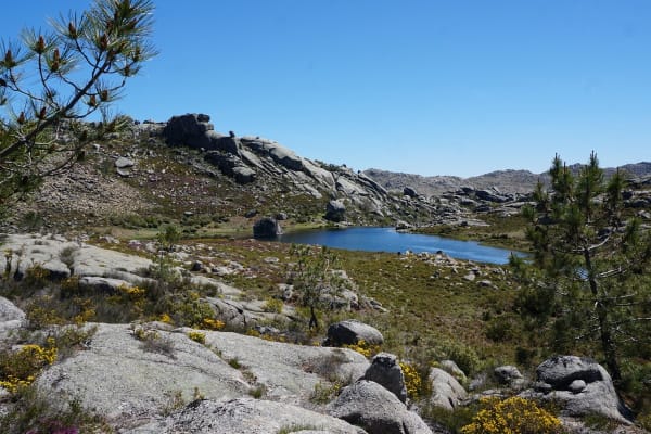 Foto 46 da atividade Galeria de Fotos