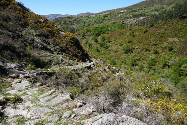 Foto 23 da atividade Galeria de Fotos