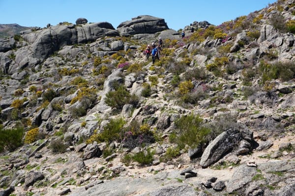 Foto 21 da atividade Galeria de Fotos