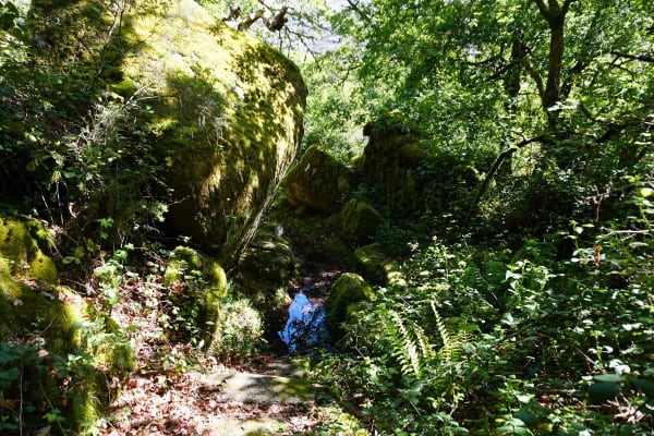 Foto 17 da atividade Galeria de Fotos