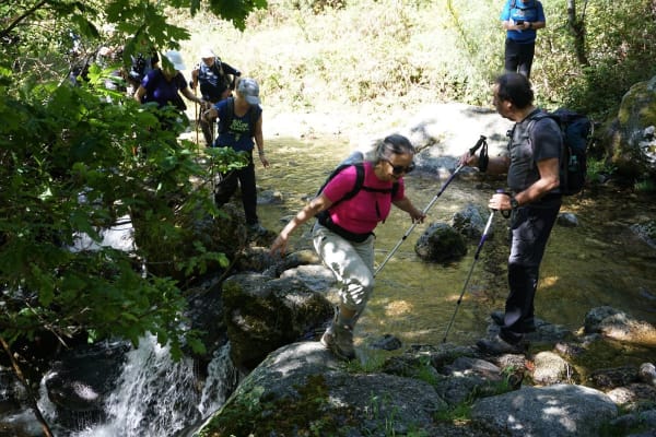 Foto 15 da atividade Galeria de Fotos