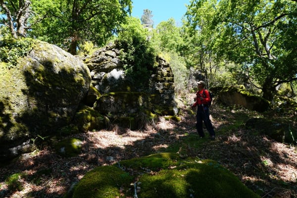 Foto 1 da atividade Galeria de Fotos