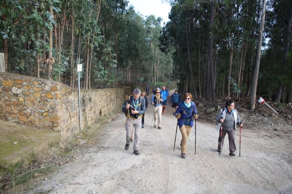 Foto 100 da atividade Galeria de Fotos