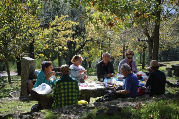 Foto 76 da atividade Galeria de Fotos