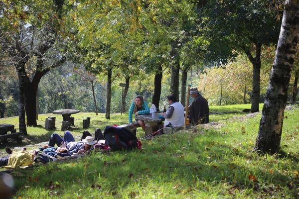 Foto 74 da atividade Galeria de Fotos