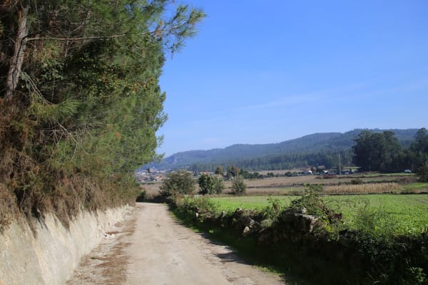 Foto 60 da atividade Galeria de Fotos