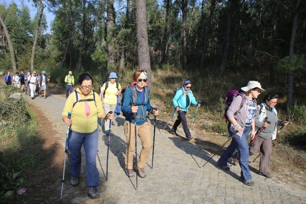 Foto 52 da atividade Galeria de Fotos