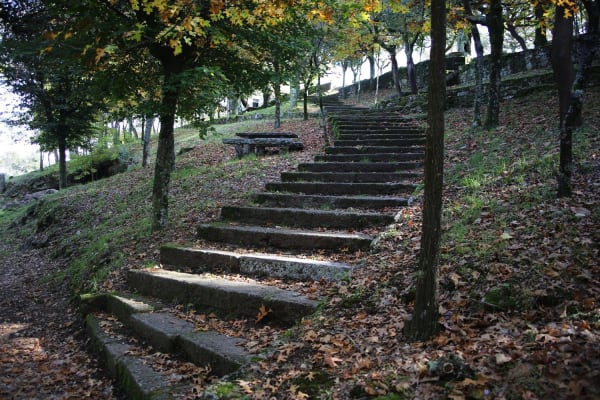 Foto 32 da atividade Galeria de Fotos