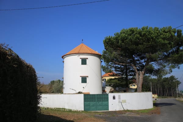 Foto 20 da atividade Galeria de Fotos