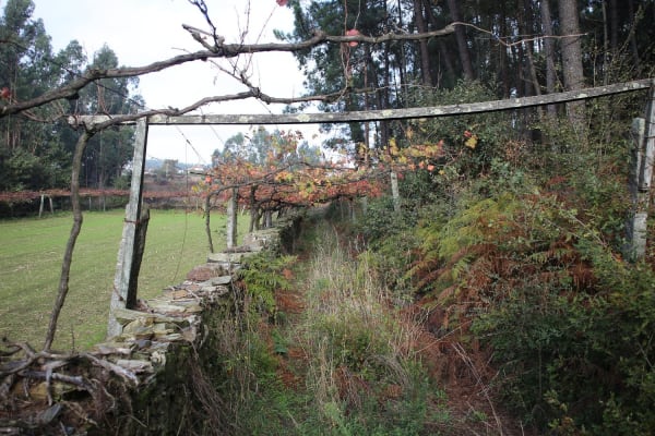 Foto 18 da atividade Galeria de Fotos