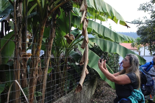 Foto 8 da atividade Galeria de Fotos