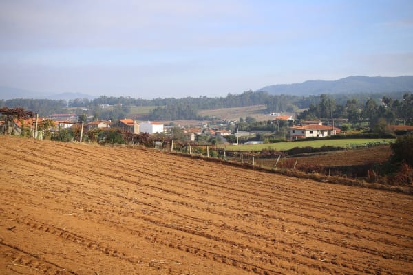 Foto 10 da atividade Galeria de Fotos