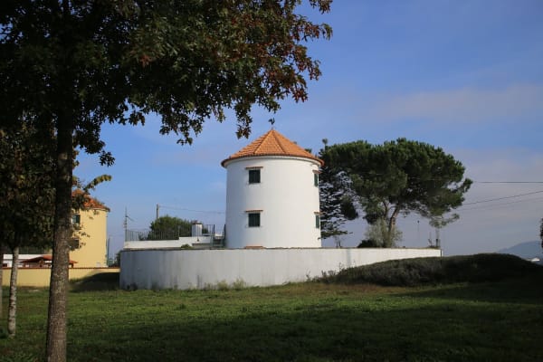 Foto 4 da atividade Galeria de Fotos