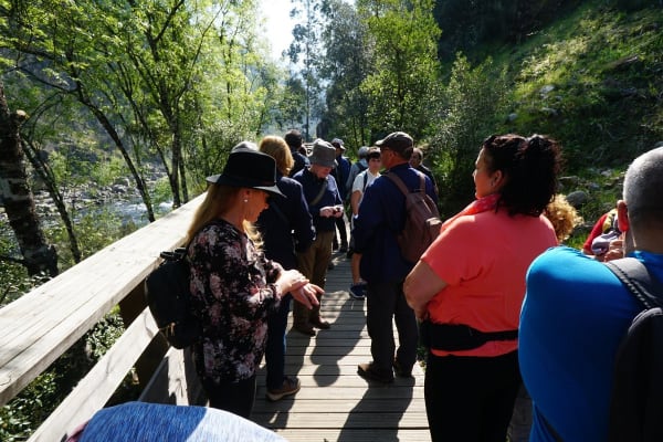 Foto 139 da atividade Galeria de Fotos