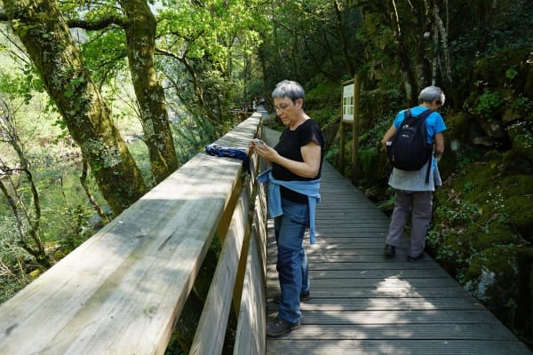 Foto 126 da atividade Galeria de Fotos