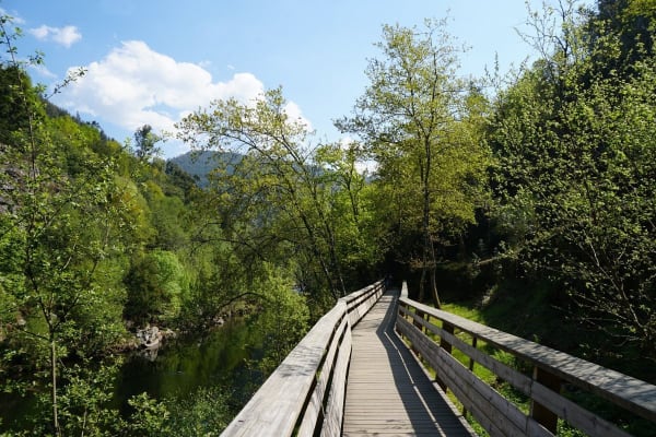 Foto 121 da atividade Galeria de Fotos