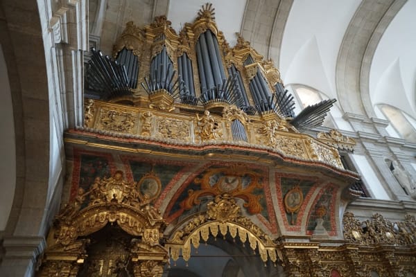 Foto 117 da atividade Galeria de Fotos