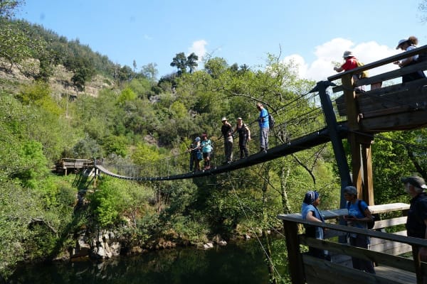 Foto 78 da atividade Galeria de Fotos