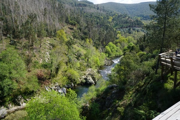 Foto 74 da atividade Galeria de Fotos