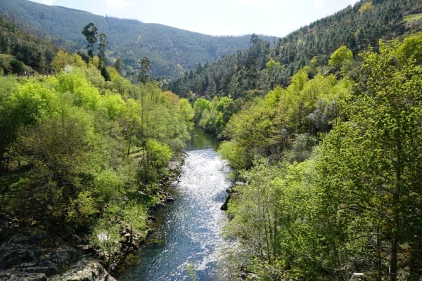 Foto 37 da atividade Galeria de Fotos