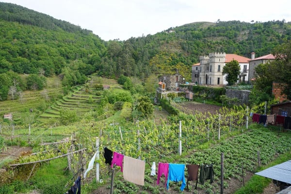 Foto 128 da atividade Galeria de Fotos