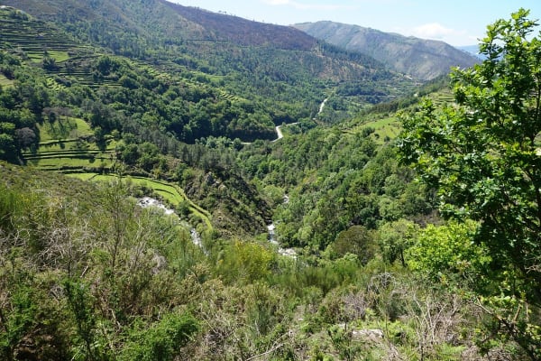 Foto 105 da atividade Galeria de Fotos