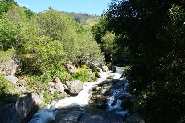 Foto 75 da atividade Galeria de Fotos