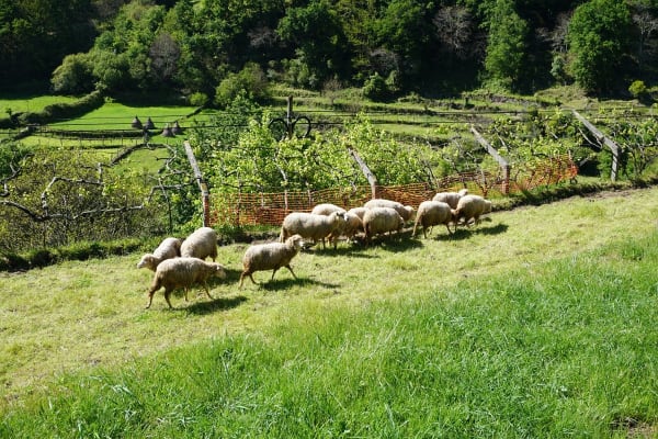 Foto 63 da atividade Galeria de Fotos