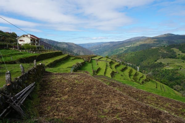 Foto 53 da atividade Galeria de Fotos