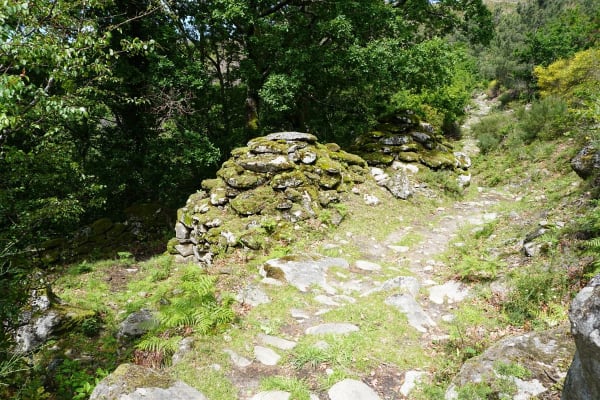 Foto 51 da atividade Galeria de Fotos