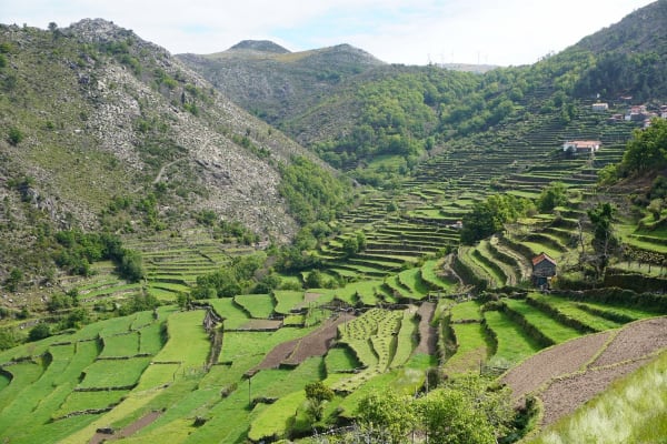 Foto 43 da atividade Galeria de Fotos