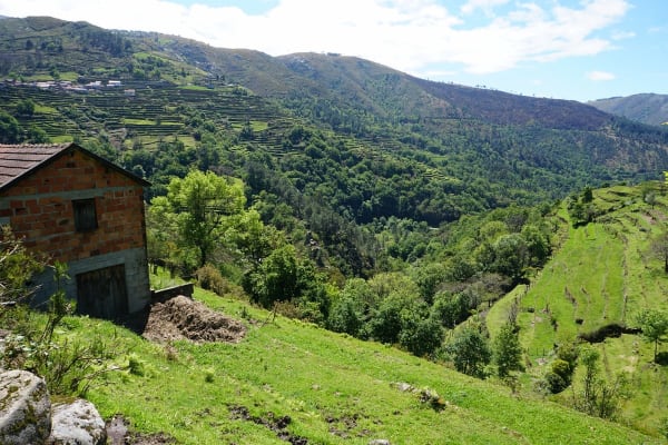 Foto 40 da atividade Galeria de Fotos