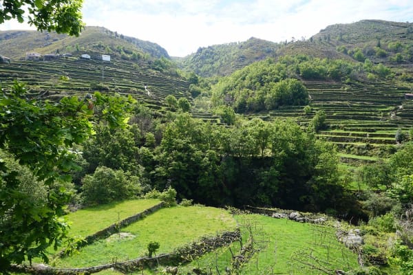 Foto 30 da atividade Galeria de Fotos