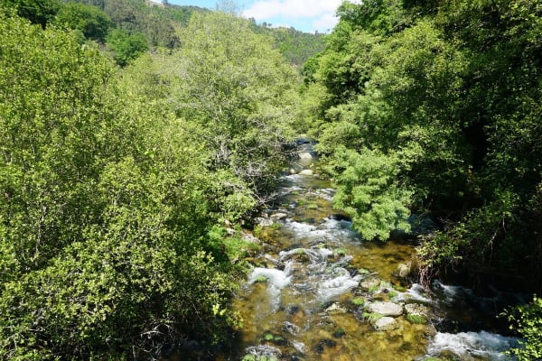 Foto 23 da atividade Galeria de Fotos