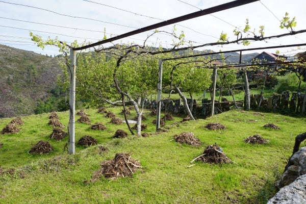 Foto 20 da atividade Galeria de Fotos