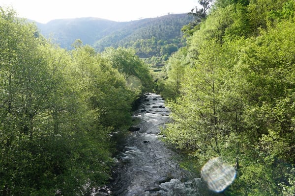 Foto 15 da atividade Galeria de Fotos