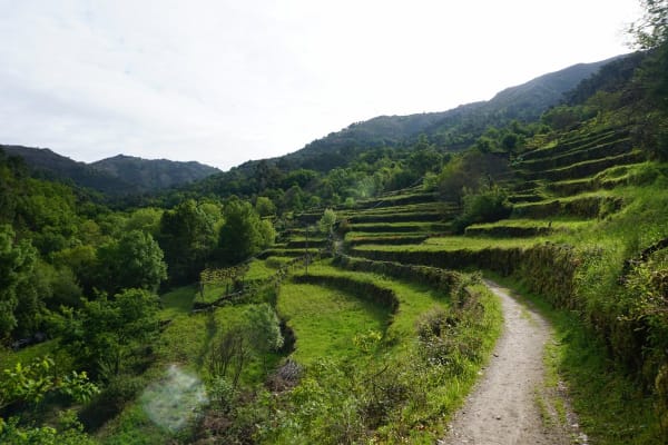 Foto 3 da atividade Galeria de Fotos