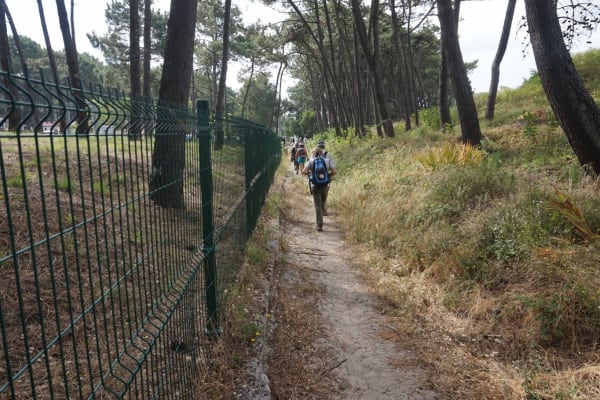 Foto 87 da atividade Galeria de Fotos