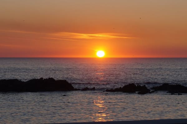 Foto 75 da atividade Galeria de Fotos