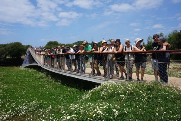 Foto 72 da atividade Galeria de Fotos