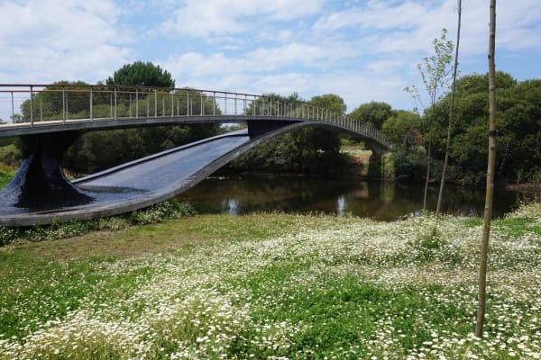 Foto 71 da atividade Galeria de Fotos