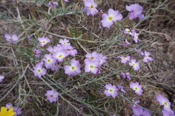 Foto 59 da atividade Galeria de Fotos